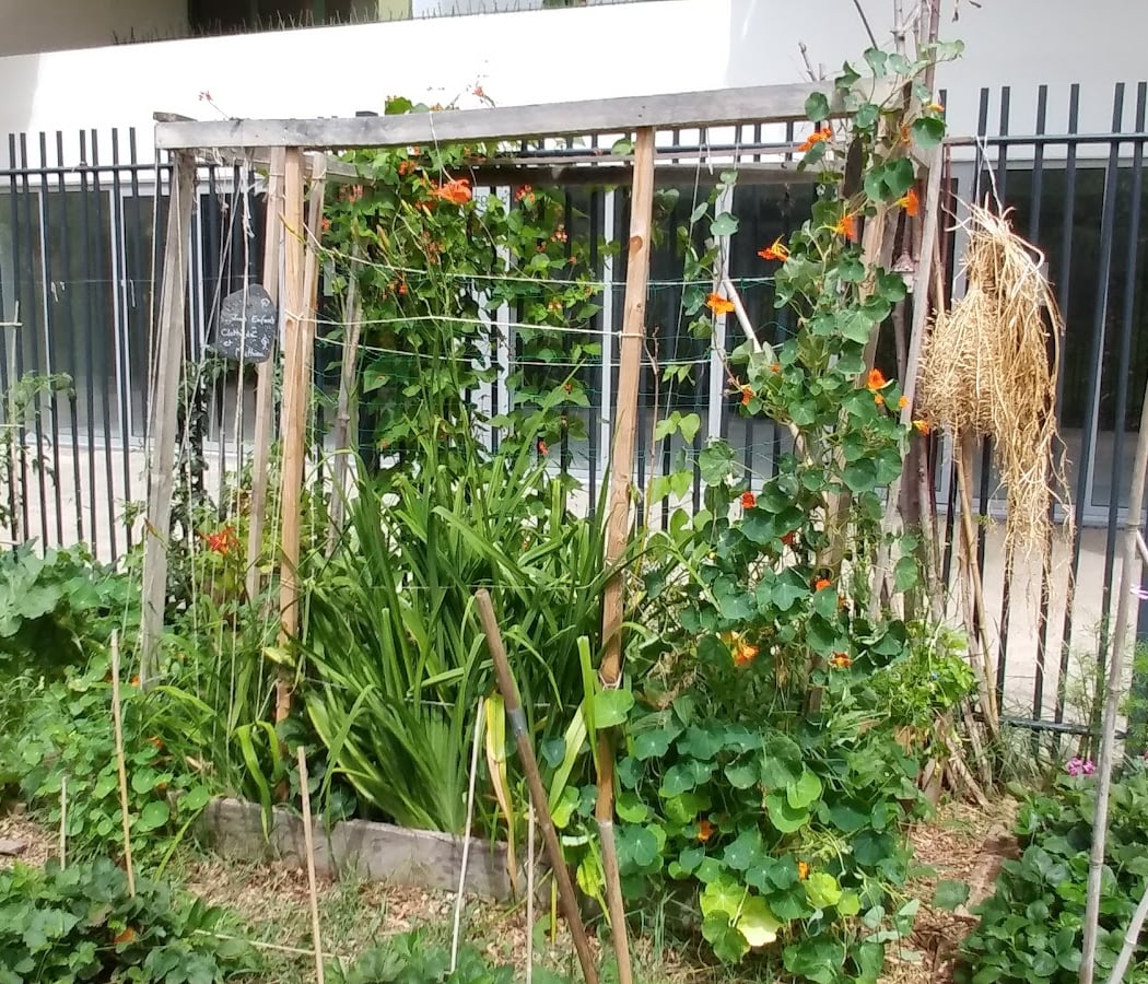 Jardin Des Fauvelles 2